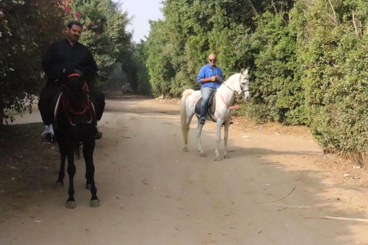 The Farm - Hotel & Horse Riding カイロ エクステリア 写真