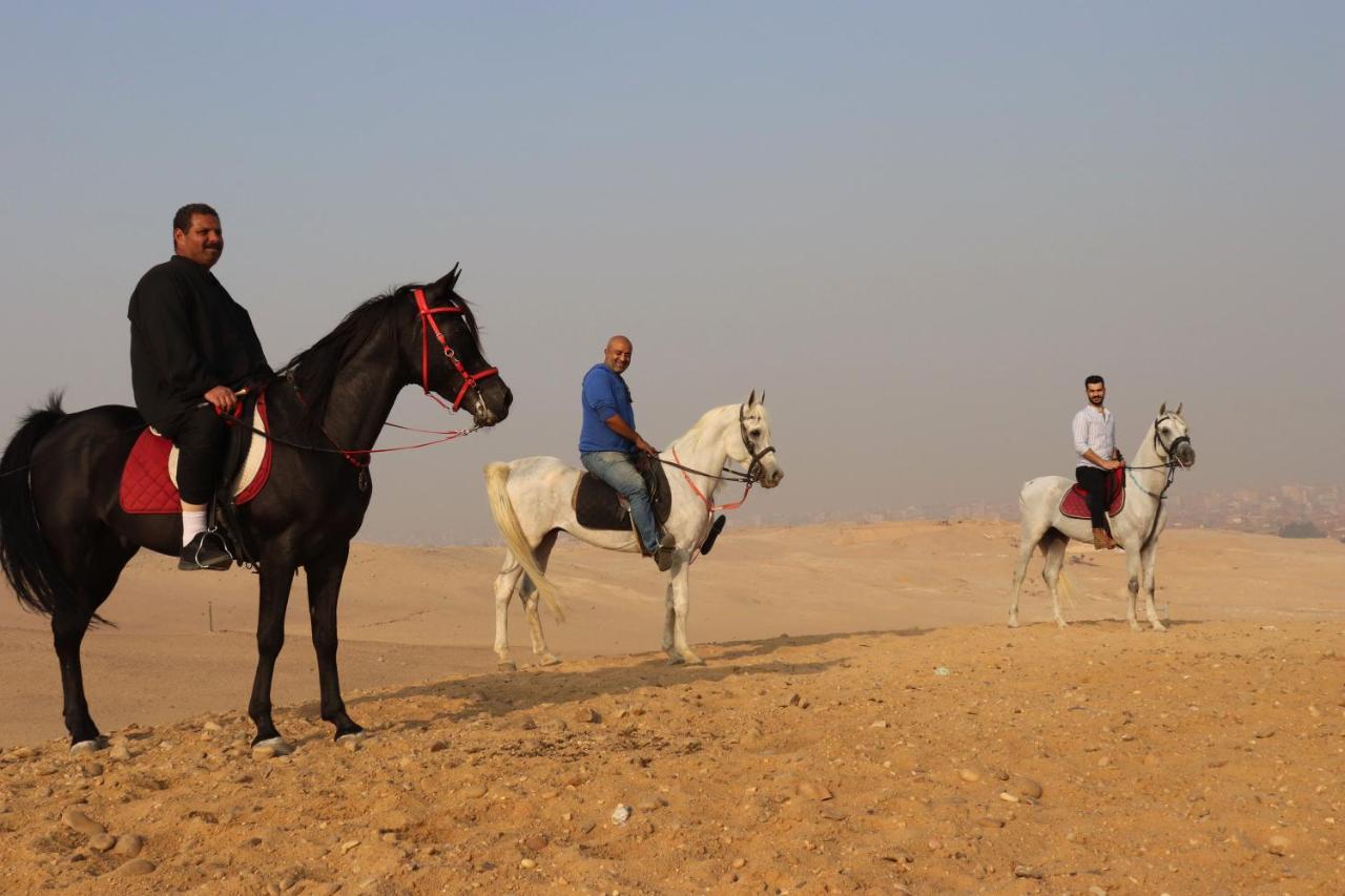 The Farm - Hotel & Horse Riding カイロ エクステリア 写真