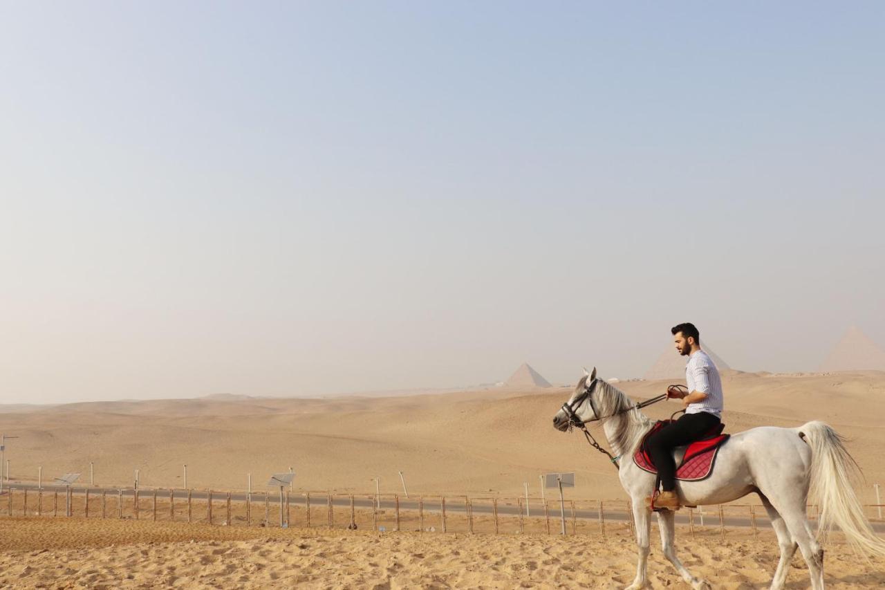 The Farm - Hotel & Horse Riding カイロ エクステリア 写真